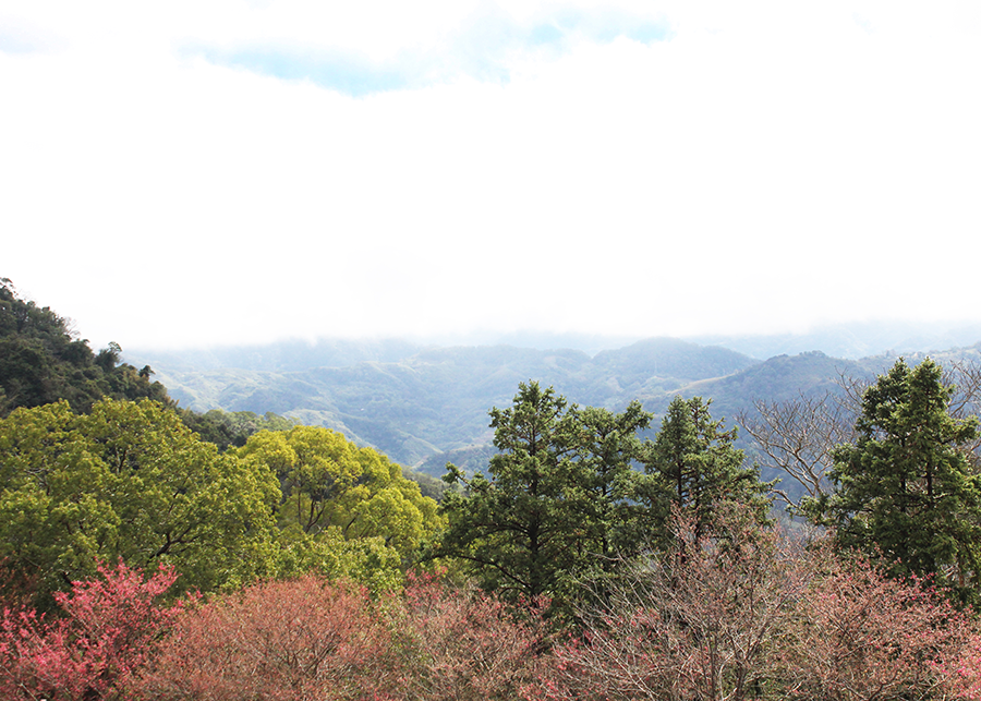 MIA01-02.png MIA01-02.png