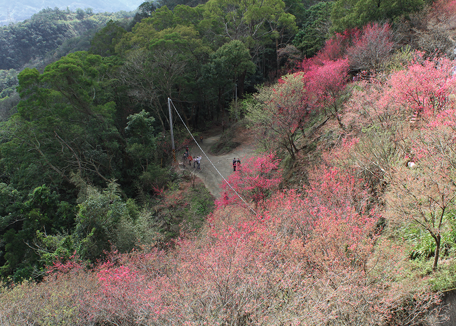 MIA01-03.png MIA01-03.png