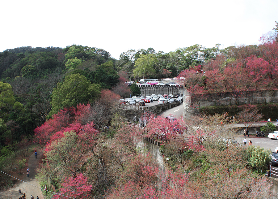 MIA01-05.png MIA01-05.png