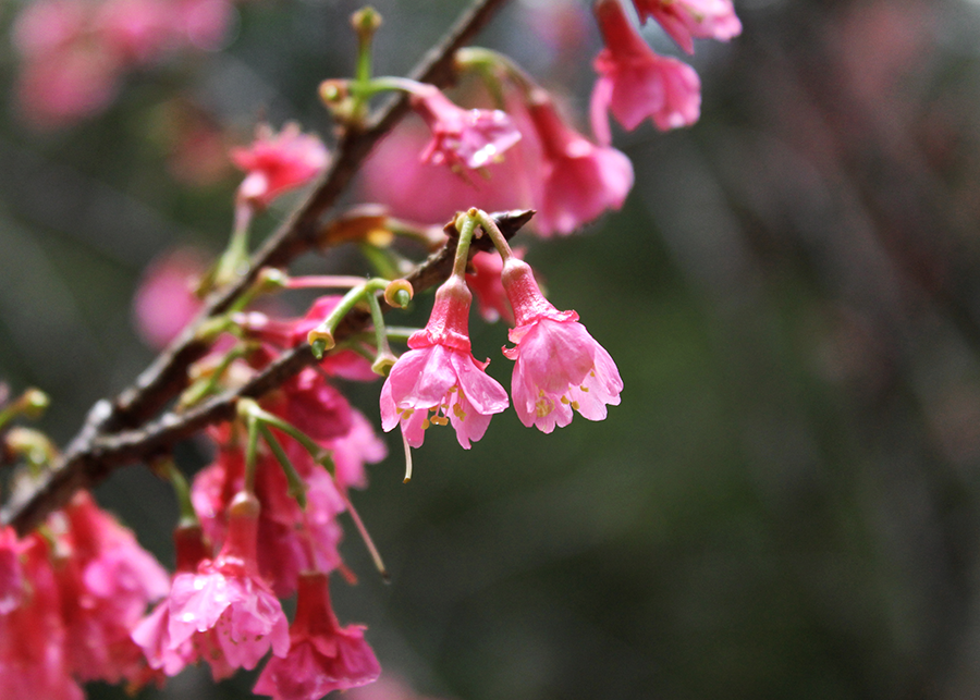 MIA01-06.png MIA01-06.png