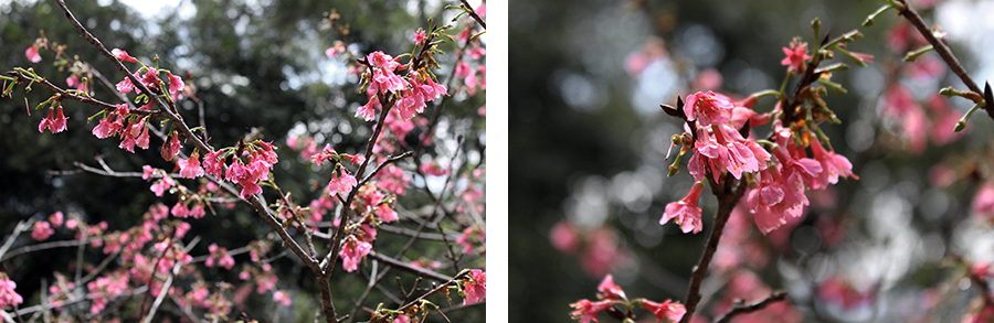 MIA01-07.png MIA01-07.png