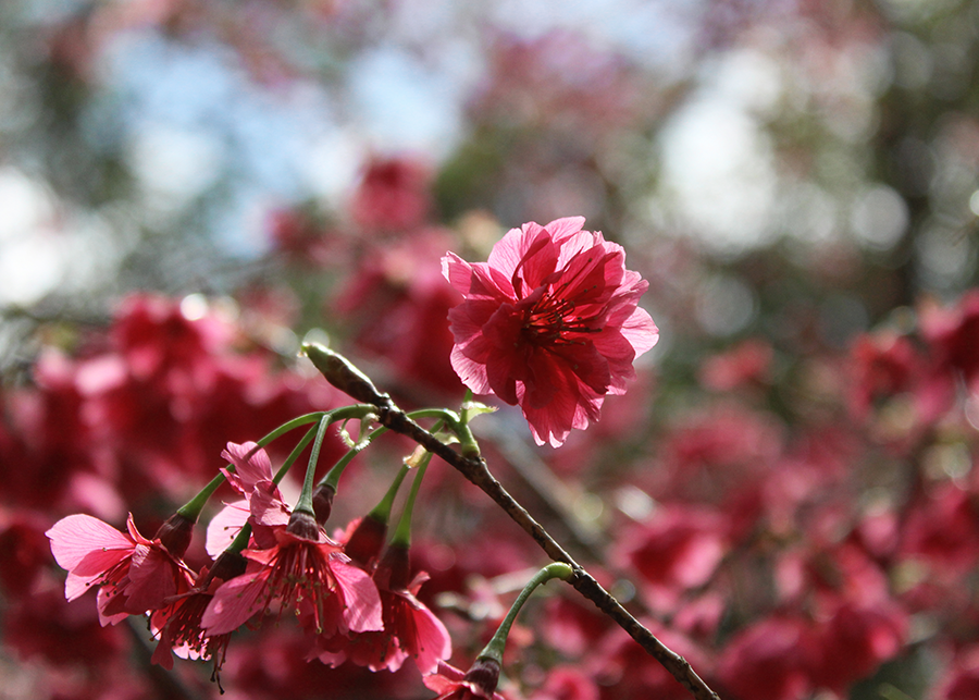 MIA01-08.png MIA01-08.png