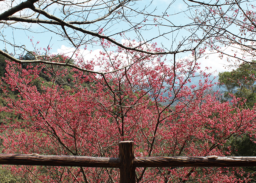 MIA01-09.png MIA01-09.png