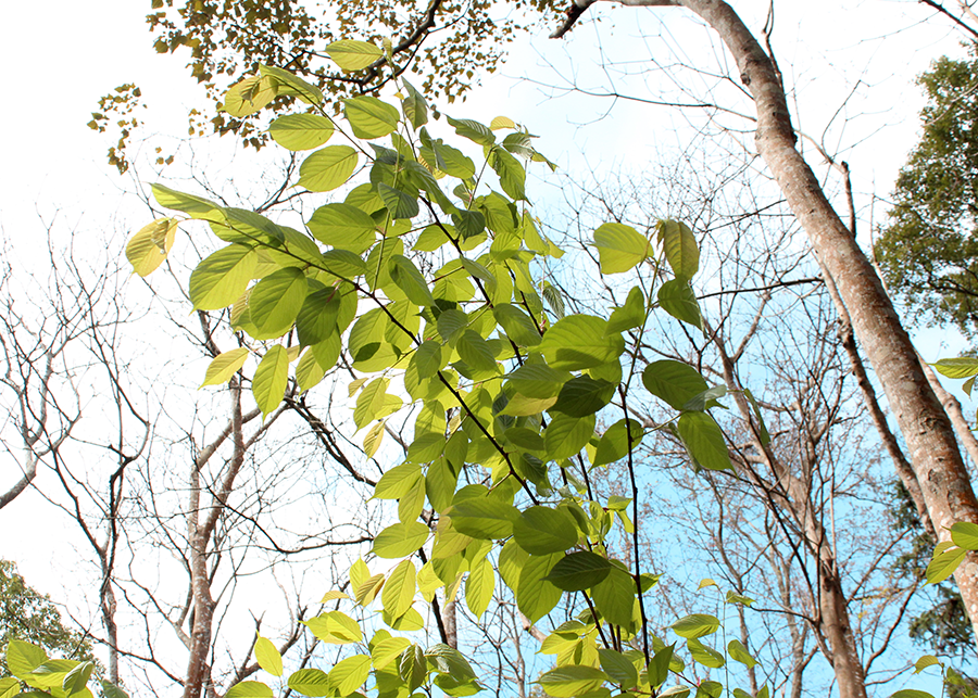 MIA01-10.png MIA01-10.png