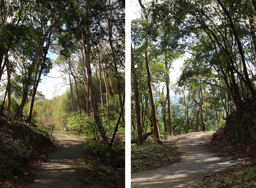 MIA01-11.png MIA01-11.png