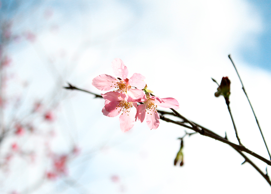 MIA01-12.png MIA01-12.png