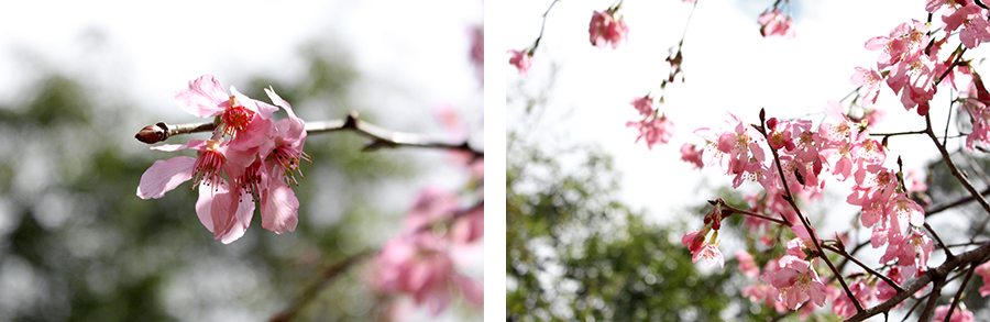 MIA01-13.png MIA01-13.png