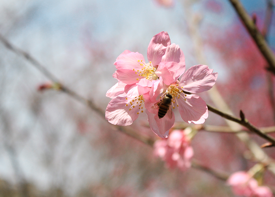 MIA01-14.png MIA01-14.png