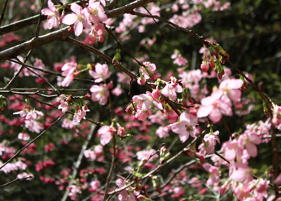 MIA01-15.png MIA01-15.png