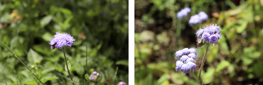 MIA01-16.png MIA01-16.png