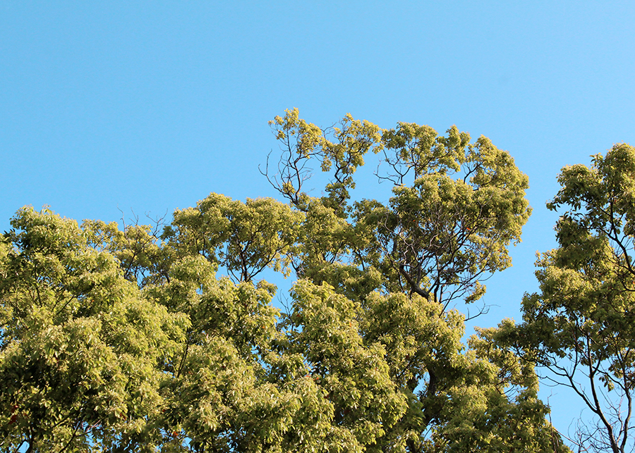 MIA01-18.png MIA01-18.png