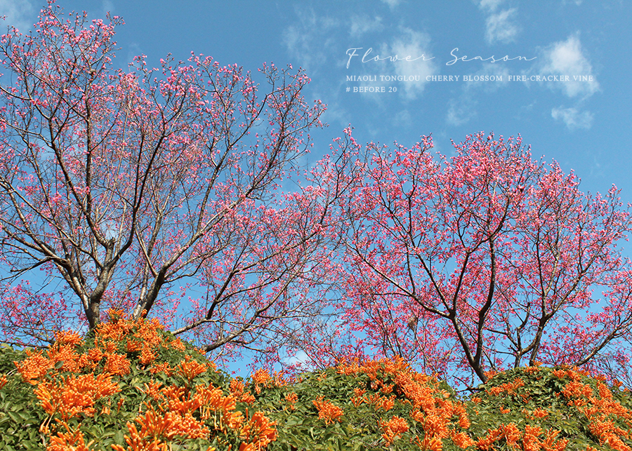 MIA02-010.png MIA02-010.png