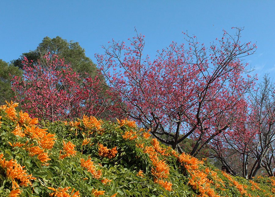 MIA02-02.png MIA02-02.png