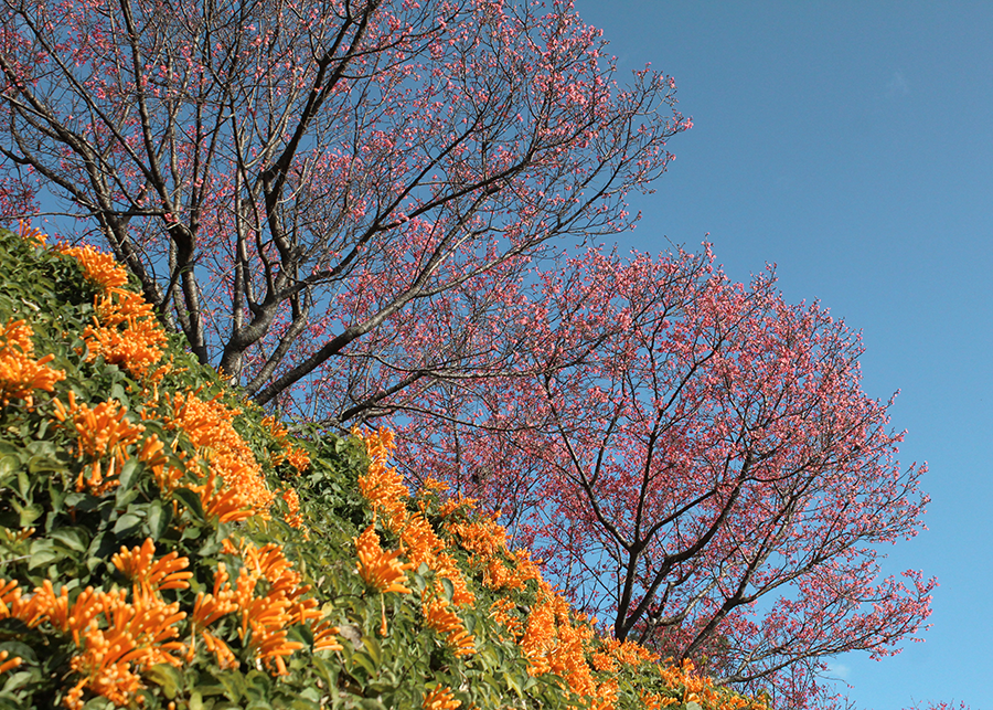 MIA02-03.png MIA02-03.png