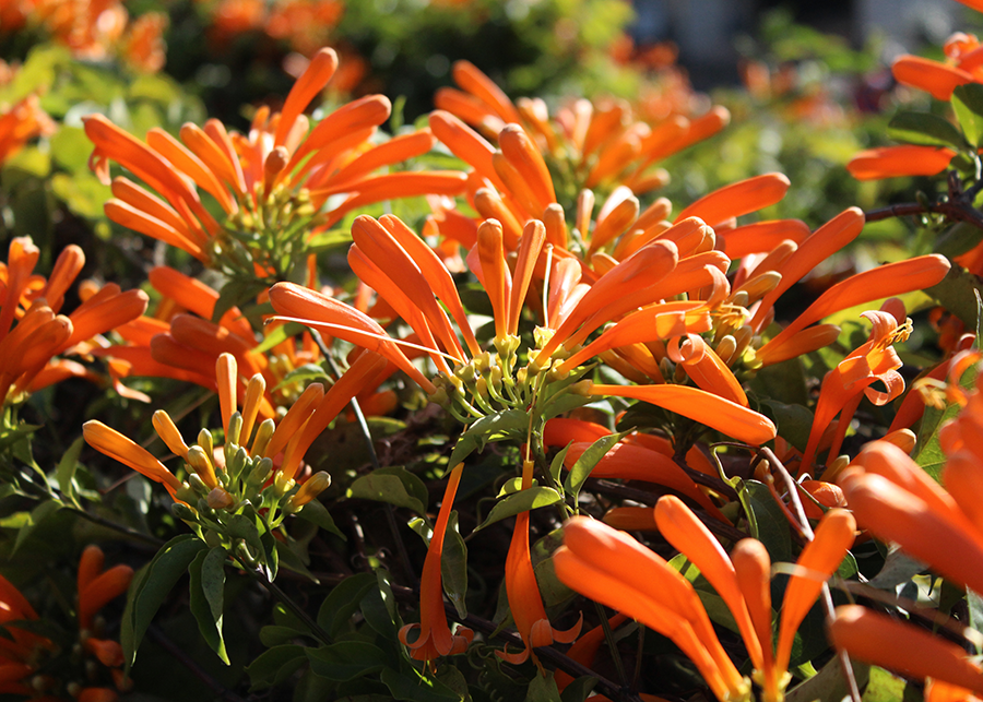 MIA02-04.png MIA02-04.png