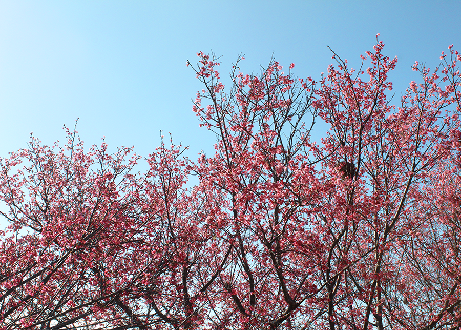 MIA02-05.png MIA02-05.png