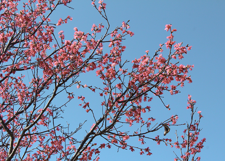 MIA02-06.png MIA02-06.png