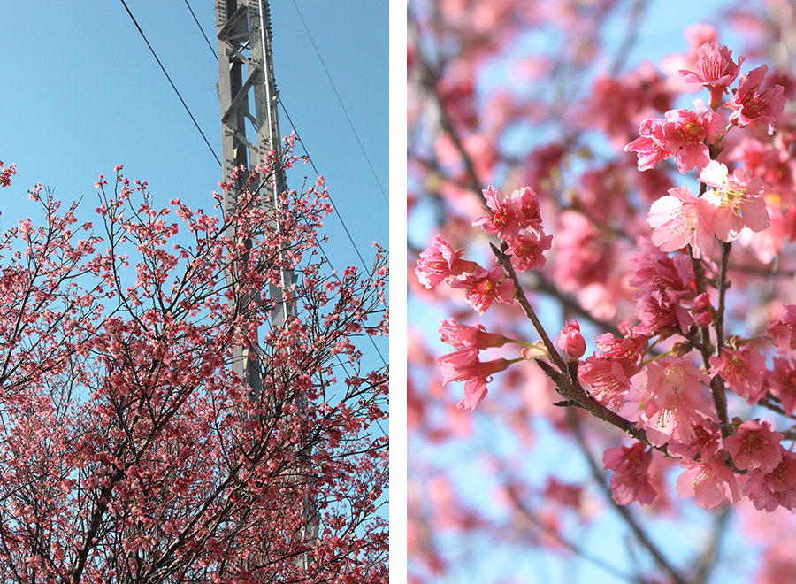 MIA02-07.png MIA02-07.png