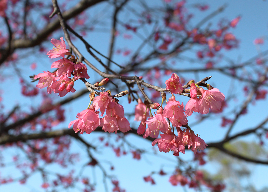 MIA02-08.png MIA02-08.png