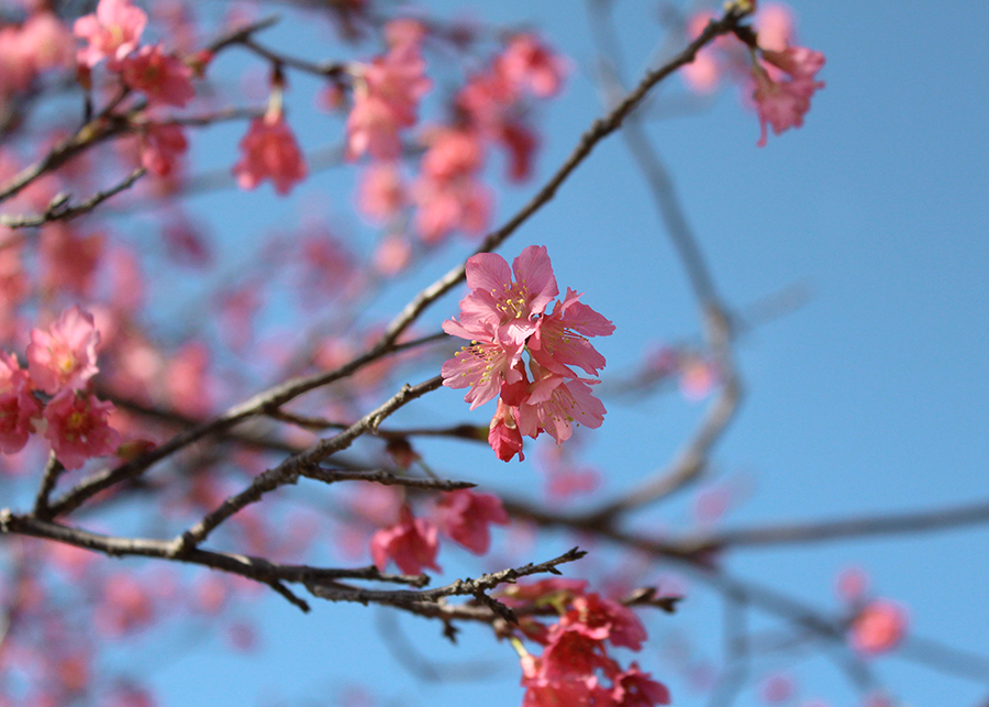 MIA02-09.png MIA02-09.png