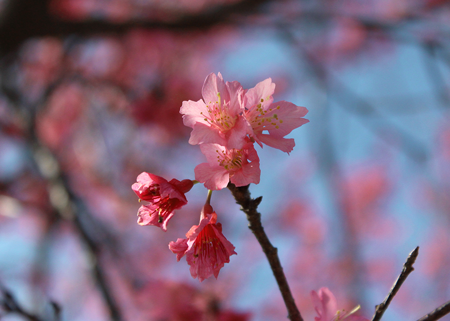 MIA02-10.png MIA02-10.png