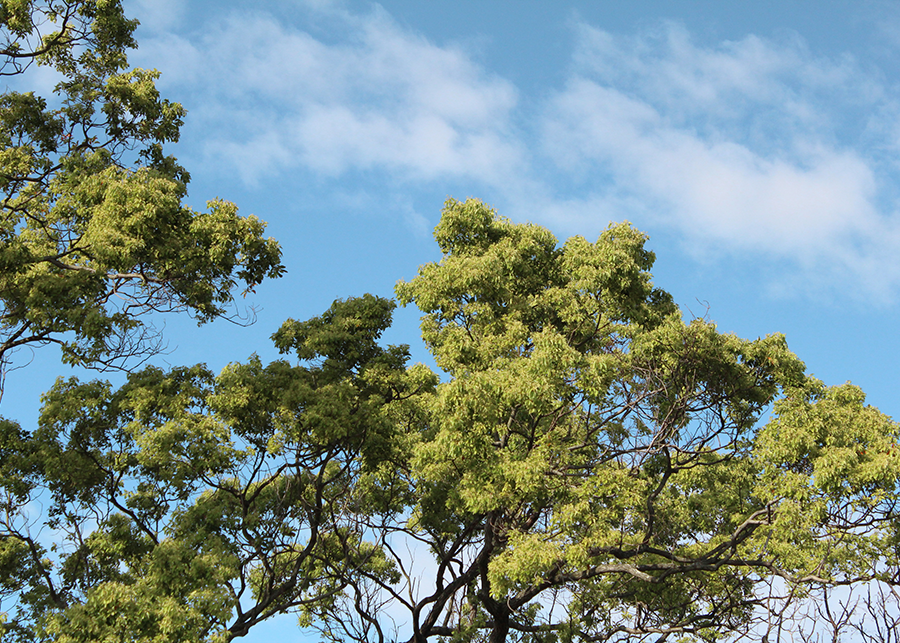 MIA02-11.png MIA02-11.png