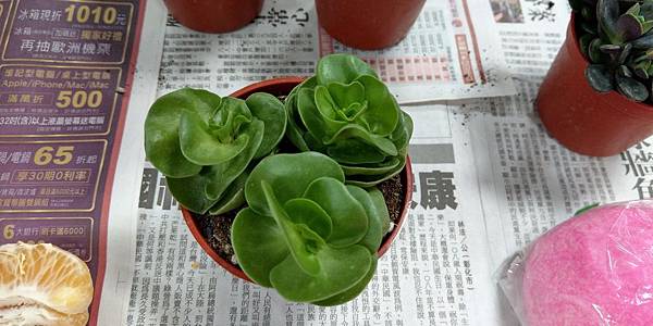 11月月會_191211_0001.jpg 11月月會_191211_0001.jpg