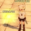 mabinogi_2009_05_26_001.jpg