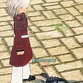 mabinogi_2009_08_16_002.jpg