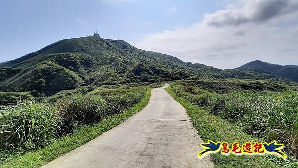 草山南峰-南草山-雞母嶺古道 (7).jpg