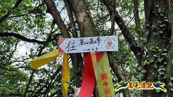 草山南峰-南草山-雞母嶺古道 (15).jpg