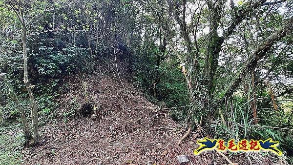 草山南峰-南草山-雞母嶺古道 (16).jpg