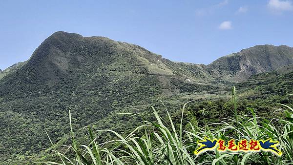 草山南峰-南草山-雞母嶺古道 (22).jpg