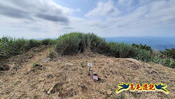 草山南峰-南草山-雞母嶺古道 (26).jpg