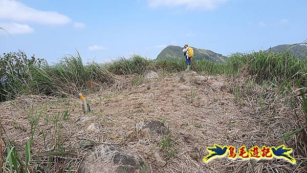 草山南峰-南草山-雞母嶺古道 (27).jpg