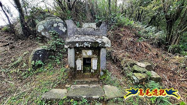 草山南峰-南草山-雞母嶺古道 (33).jpg