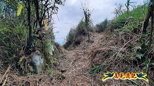 草山南峰-南草山-雞母嶺古道 (36).jpg