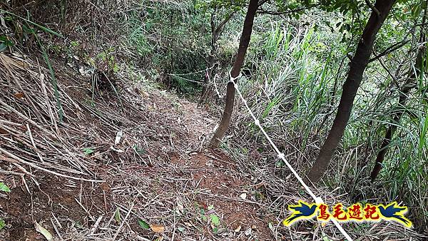 草山南峰-南草山-雞母嶺古道 (50).jpg