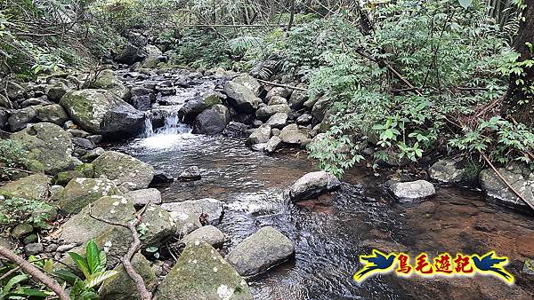 草山南峰-南草山-雞母嶺古道 (74).jpg