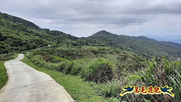 草山南峰-南草山-雞母嶺古道 (97).jpg