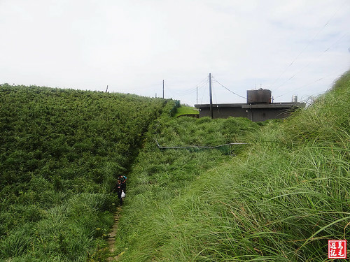 大屯主峰連峰步道 (19).jpg