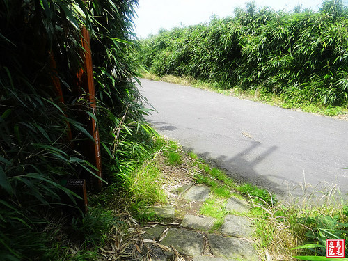 大屯主峰連峰步道 (21).jpg