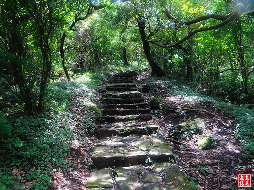 大屯主峰連峰步道 (41).jpg