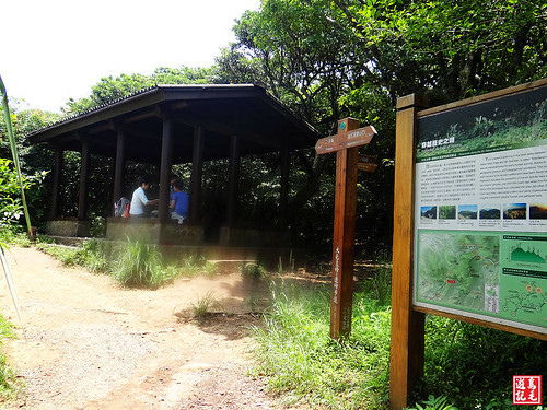 大屯主峰連峰步道 (80).jpg