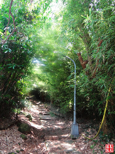 大屯主峰連峰步道 (93).jpg