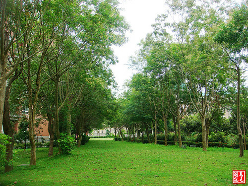 亞洲大學黃金雨荷花 (42).jpg