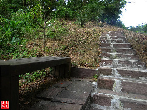 白雲步道賞桐花 (29).jpg