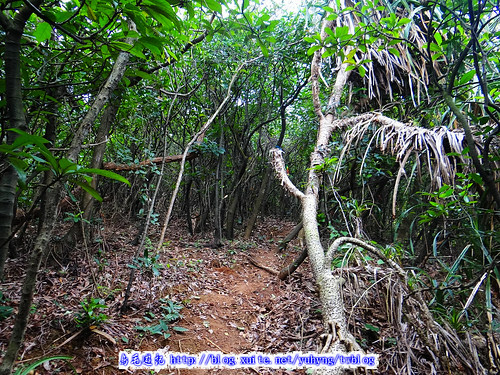 美灩山、火炎山古道 (7).jpg