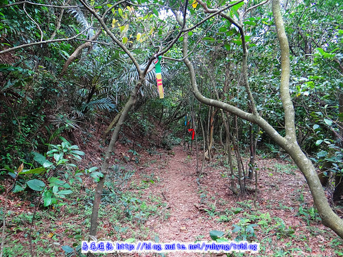 美灩山、火炎山古道 (17).jpg