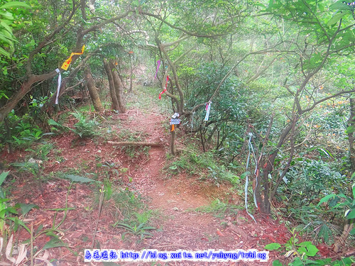 美灩山、火炎山古道 (50).jpg